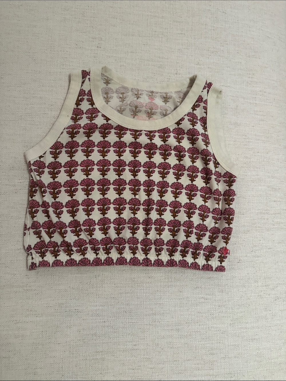 Pink Chicken Floral Crop Top in Cream and Pink